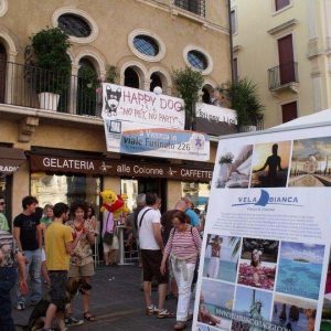 Isotta, l'Ambulanza degli animali a Vicenza