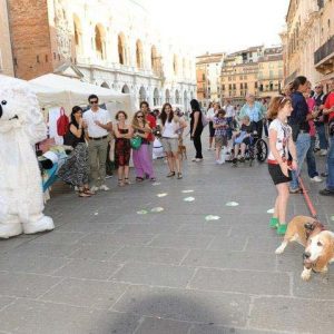 Isotta, l'Ambulanza degli animali a Vicenza