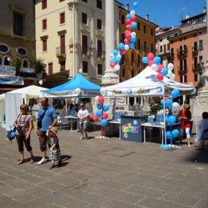 Isotta, l'Ambulanza degli animali a Vicenza