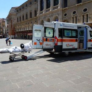 Isotta, l'Ambulanza degli animali a Vicenza