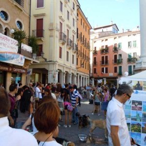 Isotta, l'Ambulanza degli animali a Vicenza