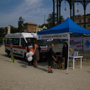 Isotta, l'Ambulanza degli animali a Napoli