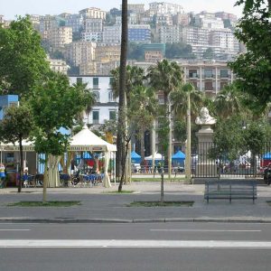 Isotta, l'Ambulanza degli animali a Napoli