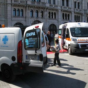 Isotta, l'Ambulanza degli animali a Trieste