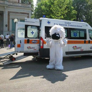 Isotta, l'Ambulanza degli animali a Bologna
