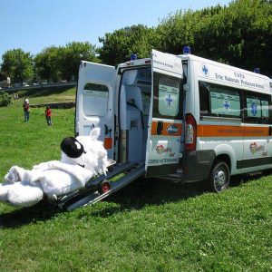 Isotta, l'Ambulanza degli animali a Roma