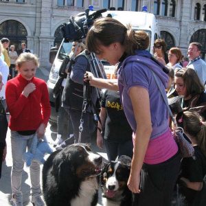 Isotta, l'Ambulanza degli animali a Trieste