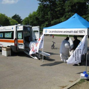 Isotta, l'Ambulanza degli animali a Bologna