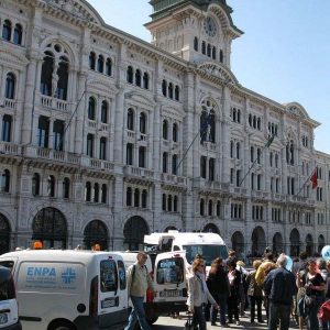 Isotta, l'Ambulanza degli animali a Trieste