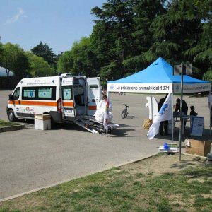 Isotta, l'Ambulanza degli animali a Bologna