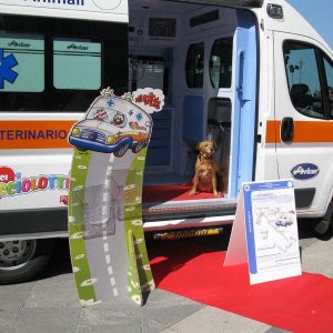 Isotta, l'Ambulanza degli animali a Trieste