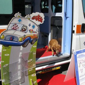 Isotta, l'Ambulanza degli animali a Trieste