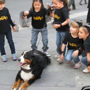 Isotta, l'Ambulanza degli animali a Trieste