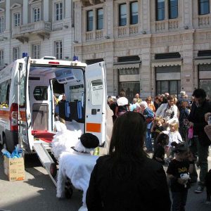 Isotta, l'Ambulanza degli animali a Trieste