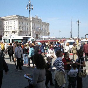 Isotta, l'Ambulanza degli animali a Trieste