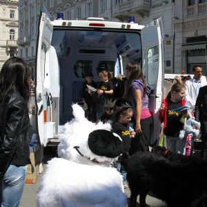 Isotta, l'Ambulanza degli animali a Trieste