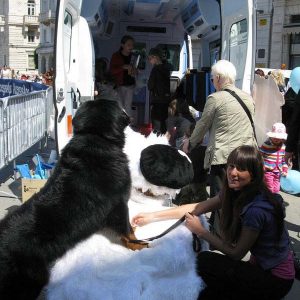 Isotta, l'Ambulanza degli animali a Trieste