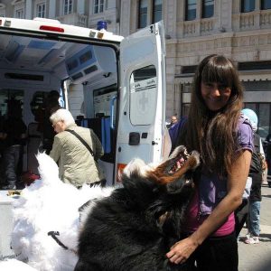 Isotta, l'Ambulanza degli animali a Trieste