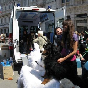 Isotta, l'Ambulanza degli animali a Trieste