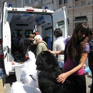 Isotta, l'Ambulanza degli animali a Trieste