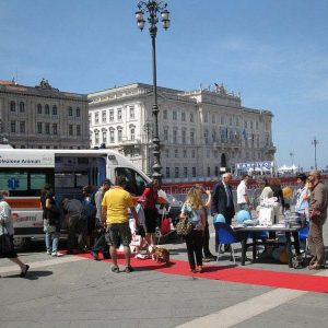 Isotta, l'Ambulanza degli animali a Trieste