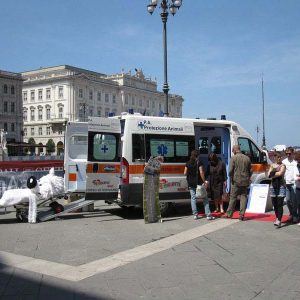 Isotta, l'Ambulanza degli animali a Trieste