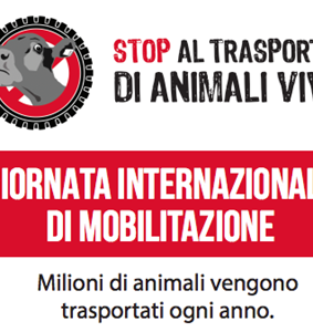 Settimana contro il trasporto di animali vivi